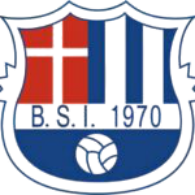 BSI Logo transparent