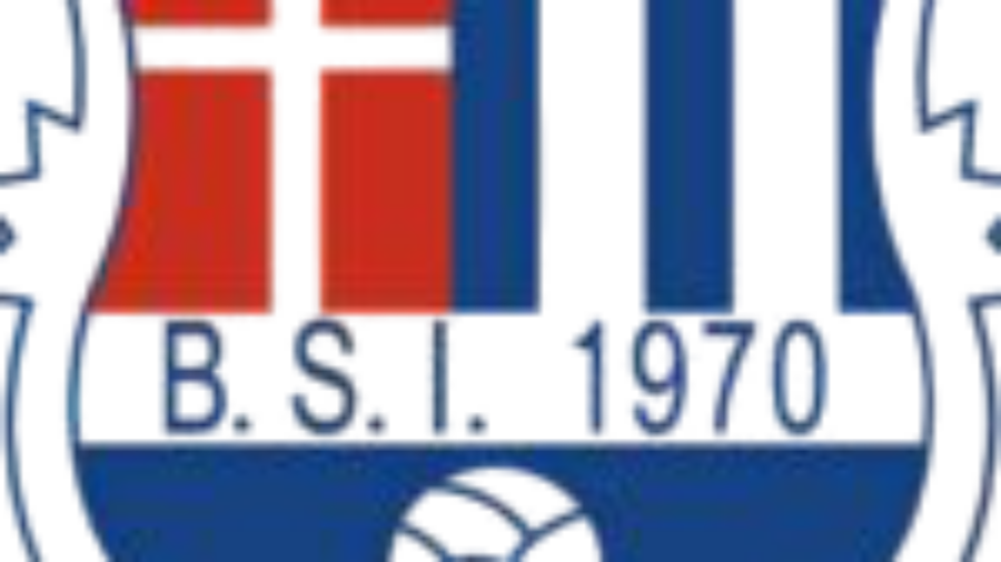 BSI Logo transparent