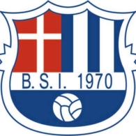 BSI-logo.jpeg
