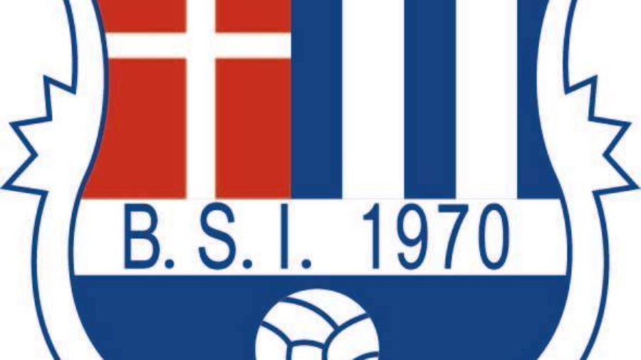 BSI-logo.jpeg