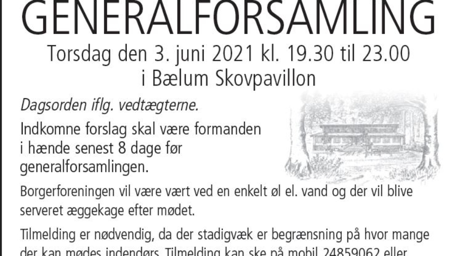 Generalforsamling 2021