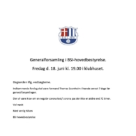 Generalforsamling i BSI hovedbestyrelsen