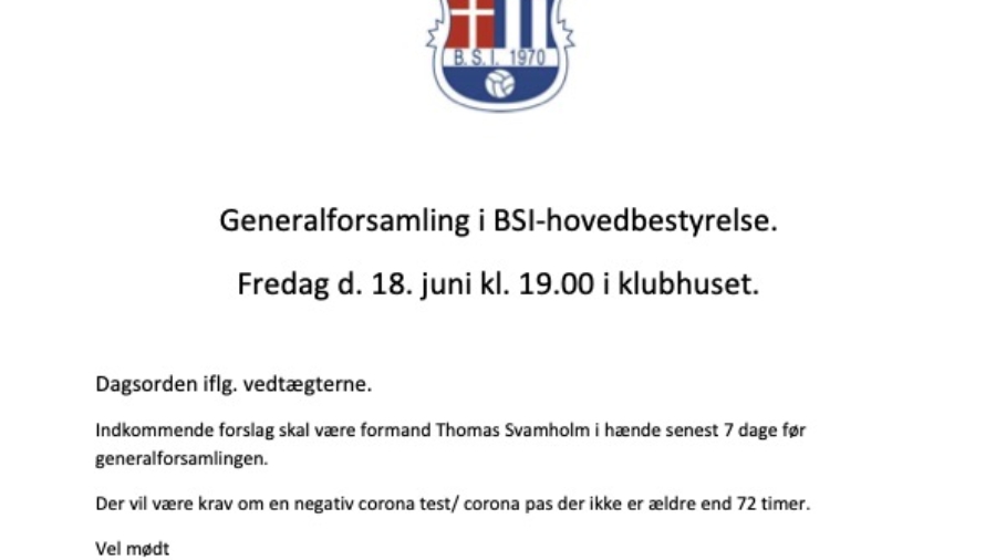 Generalforsamling i BSI hovedbestyrelsen